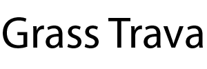 Главная